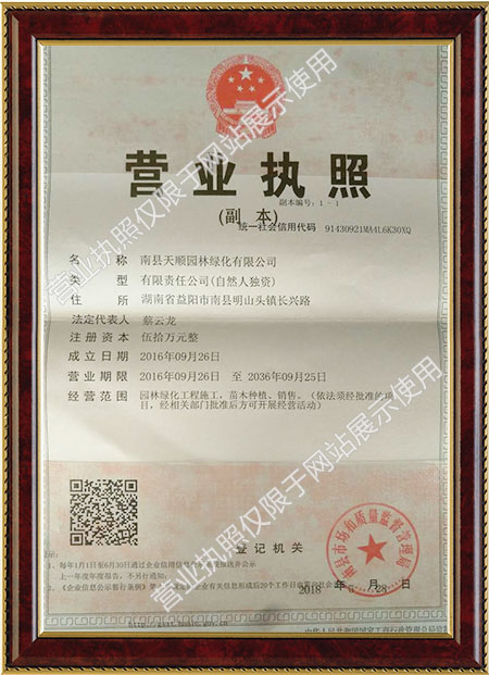 南县天顺园林绿化有限公司,南县水杉销售,池杉,落羽杉 南县天顺园林绿化有限公司,南县水杉销售,池杉,落羽杉